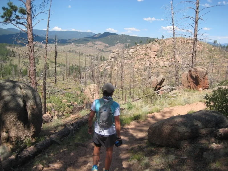 Leaving a forested stretch of the Shinglemill Trail to run through the Buffalo Creek burn area.