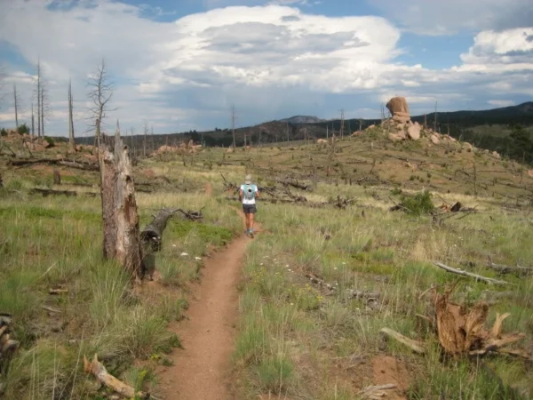 On the Gashouse Trail, crossing another part of the Buffalo Creek burn area.