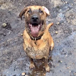 Passing Along the Joy of Running