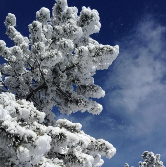 A Perfect Colorado Winter Day