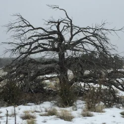 Anne's Santa Fe Trail Running Shangri La