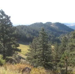 Mysterious Motivation