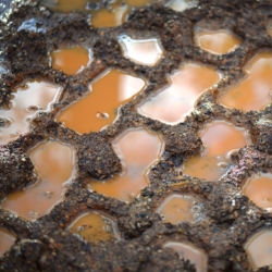 Reflections on mud