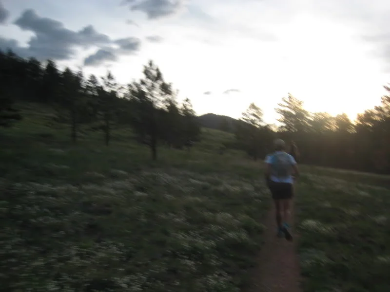 Crossing the meadow as the sun rises. Blurriness due to my not having stopped to snap the photo!