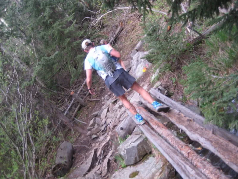 Sarah crosses the stream on a log "bridge" just as the camera slips from my sweaty fingers...