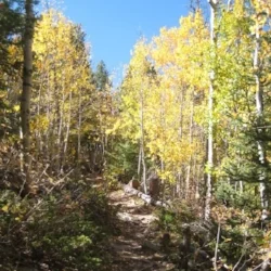 Golden Gate Canyon in Autumn