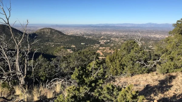 Another scenic overlook on the way down.