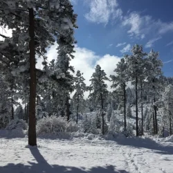 A Sparkly Morning on the Trail