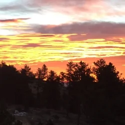 Whatever Else the Day Brings