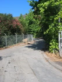 Don't let the barbed wire & pavement deter you!