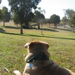 A Playful Start to 2007: XC Revolution