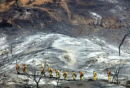 Photo by Genaro Molina, LA Times.