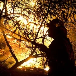 Fire in Griffith Park