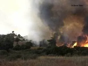 Photo by KABC-TV.