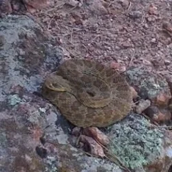 Another Day on the Trail