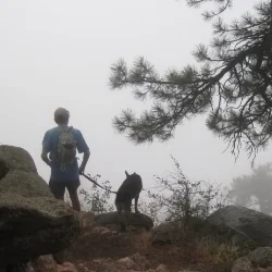A Foggy Run at Lory &amp; Horsetooth