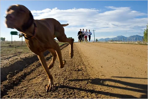 Photograph by Kevin Moloney for The New York Times.