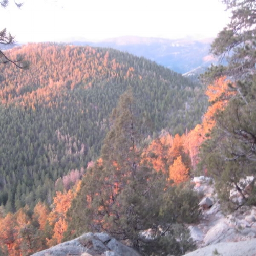 What we were seeing from our perch.