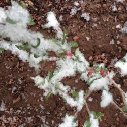 Springtime in Colorado