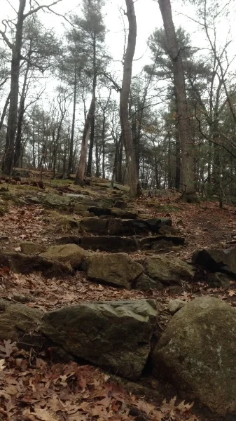 Steep stone steps on the Skyline Trail.