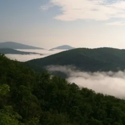 Running Steamy Shenandoah