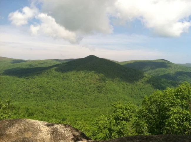 A view west on the trail, just before Byrd's Nest.
