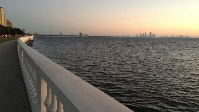 On today's run I followed Bayshore Boulevard from my hotel (near the Tampa Aquarium) down to just past Ballast Point Park.