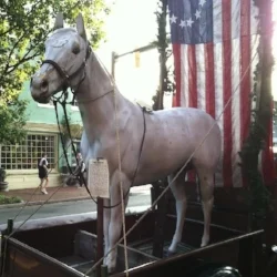 Running on the Alexandria Waterfront