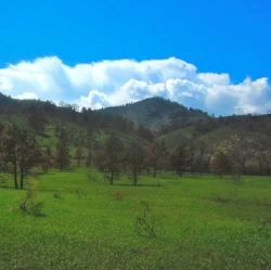 25 Gorgeous Miles of Green at the Quad Rock 2013