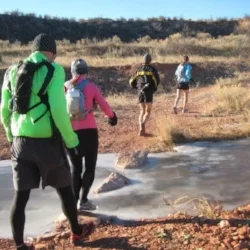 Not Blown Away! Or, Running at Red Mountain Open Space