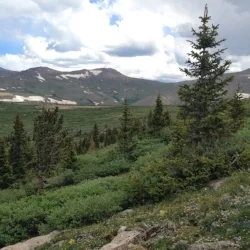 Fun in the Mountains Near Guanella Pass