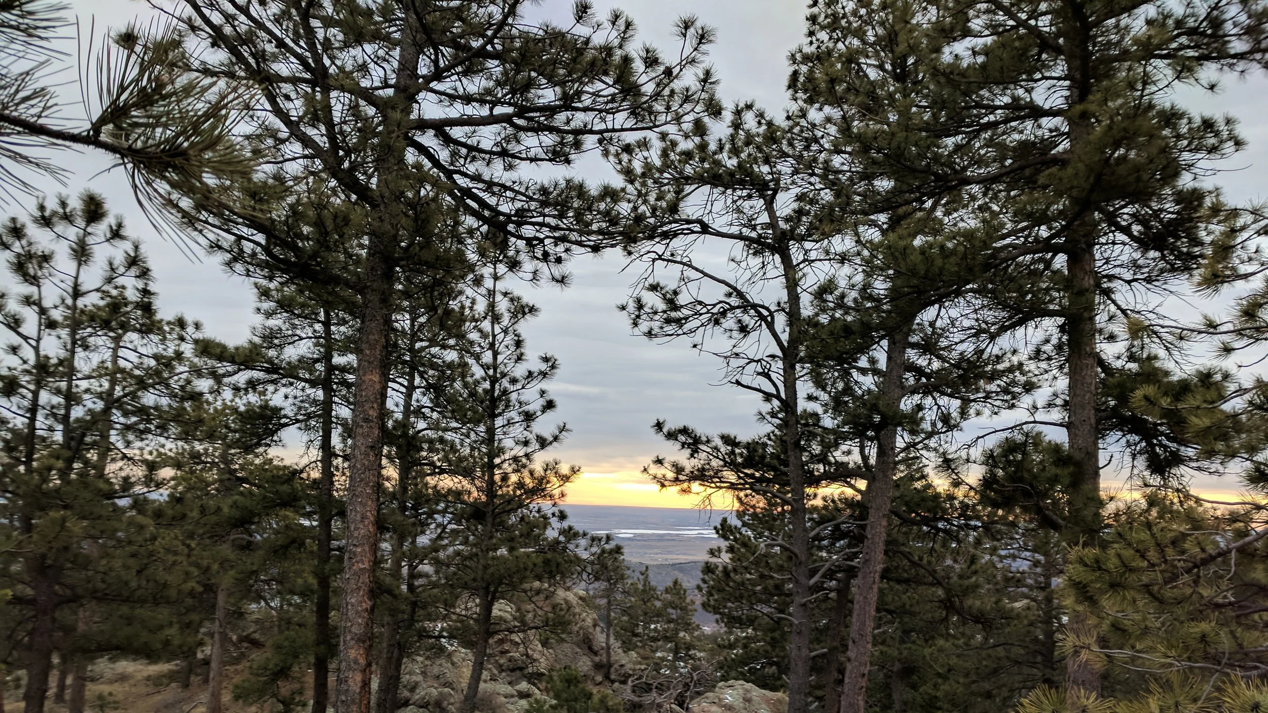 IMG_20180119_082405.jpg
