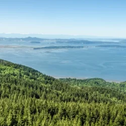 High Above Whatcom County on the Oyster Dome