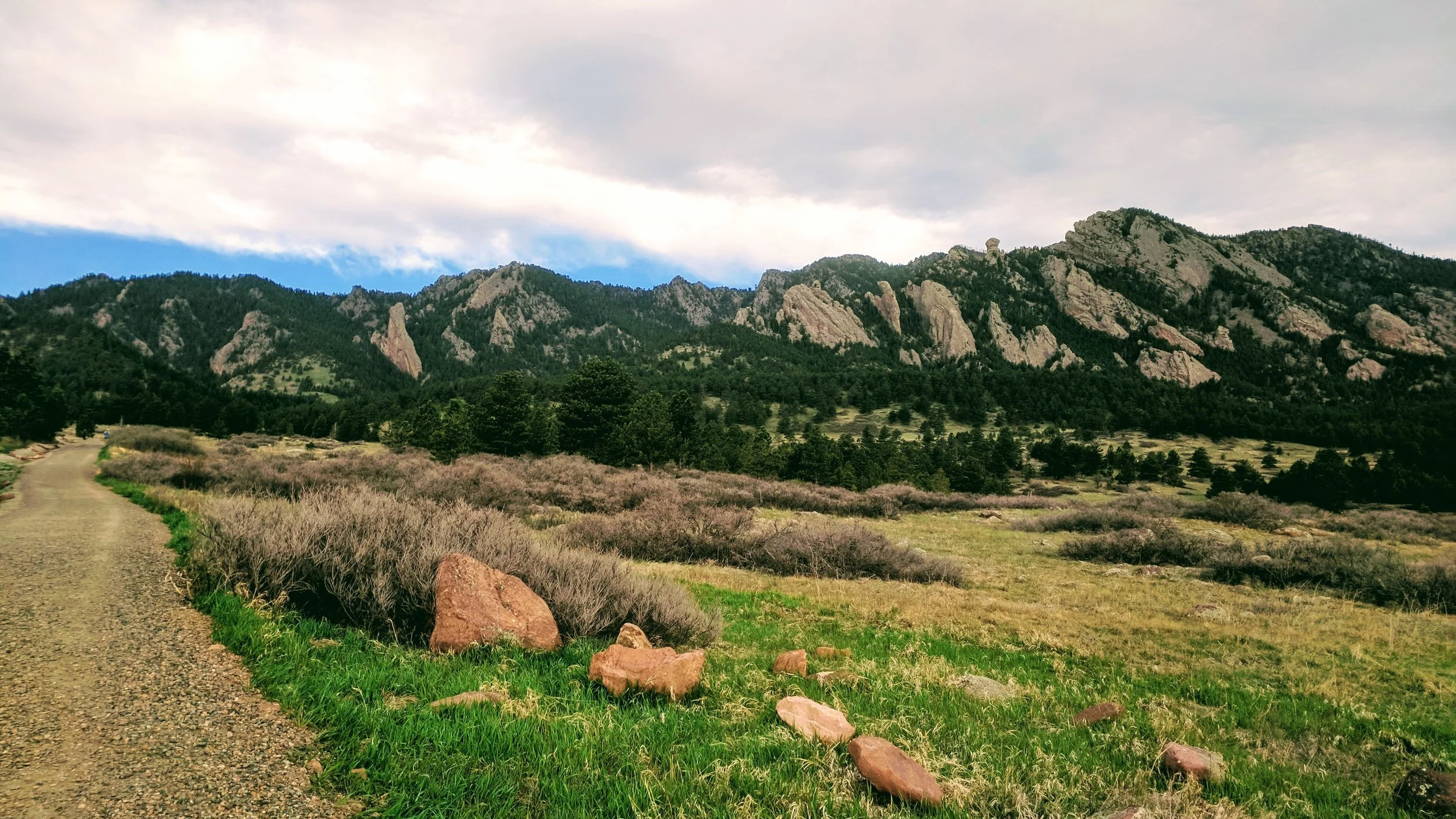 I started from the South Mesa Trailhead , and made my way up the Mesa Trail for about 1.5 miles.