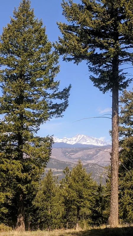 After a long descent, cross a creek, then after a few strides take a sharp left onto the Green-Bear trail. After some rolling, beautiful miles, the trail dead-ends at this perfectly framed mountain view, where you take a hard right to climb Green Mountain.