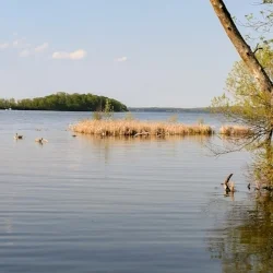 On Lake Mendota's Shore in Madison, Wisconsin