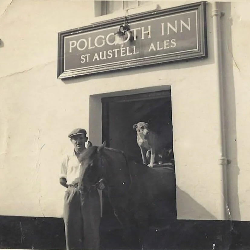 Drink a beer with horses and dogs? Count me in.