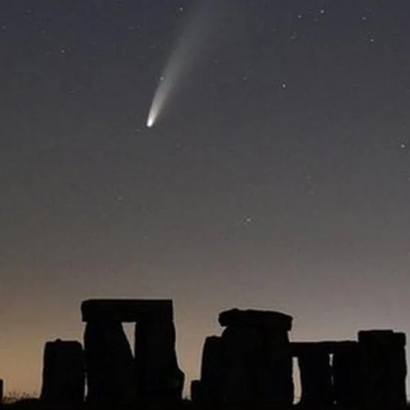 Week 9: Tyrrells Ford to Stonehenge