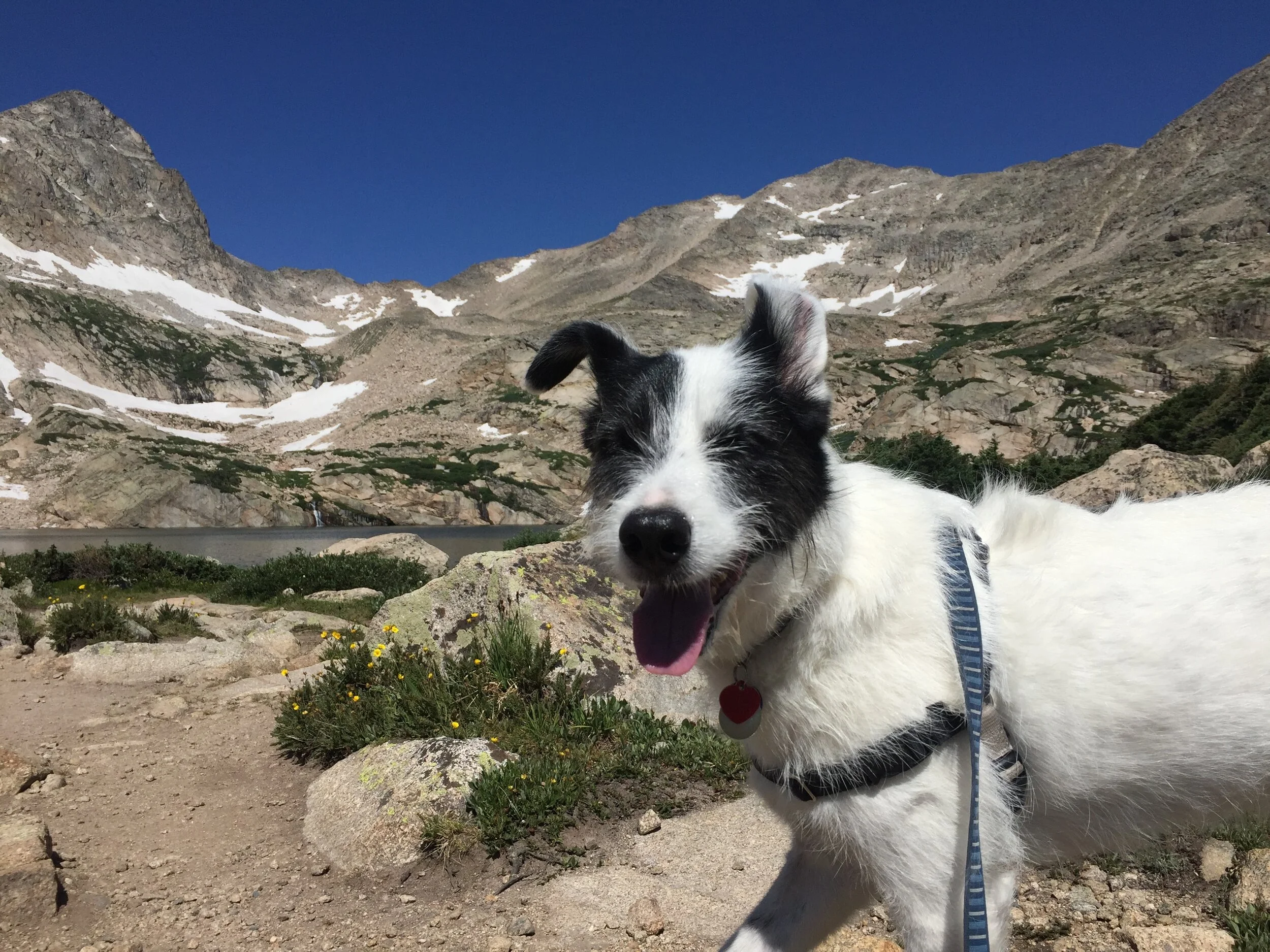 A Spooktacular October A Crooked Trail Or Two