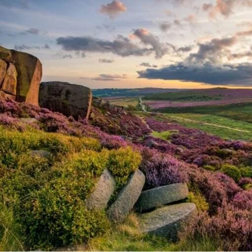 Weeks 17, 18, 19: Clumber Park to Crow Edge