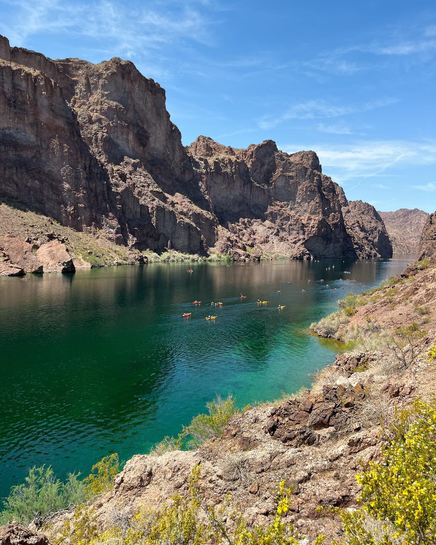 Yesterday I kayaked on the Colorado river and got sunburned for the first time ever. It was a good day, and also my arms are jello 🌞