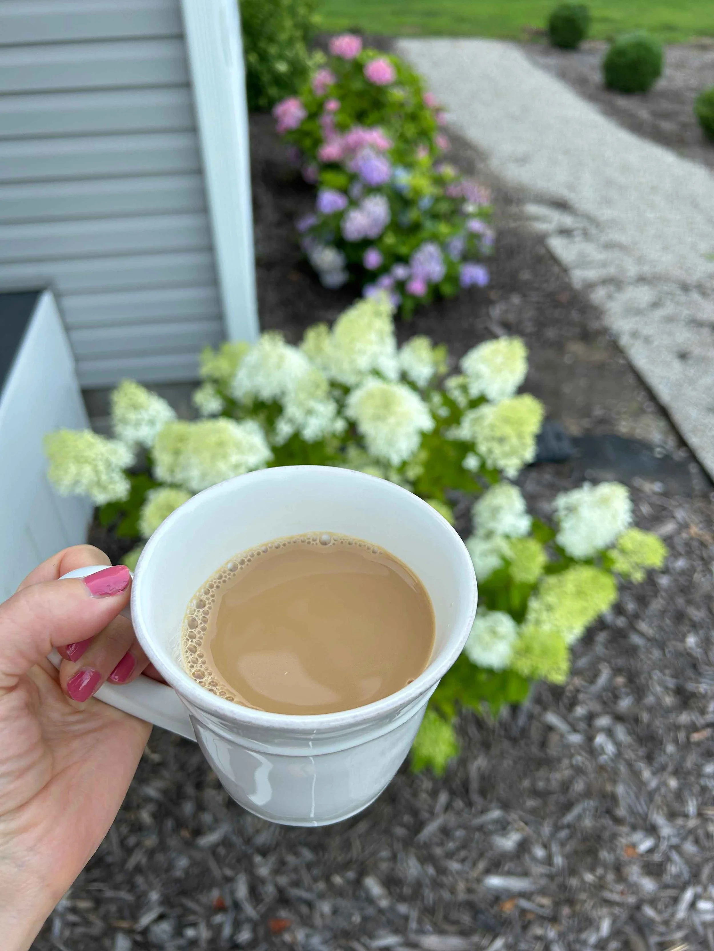 hydrangeas with coffee create a coastal and blissful morning routine.