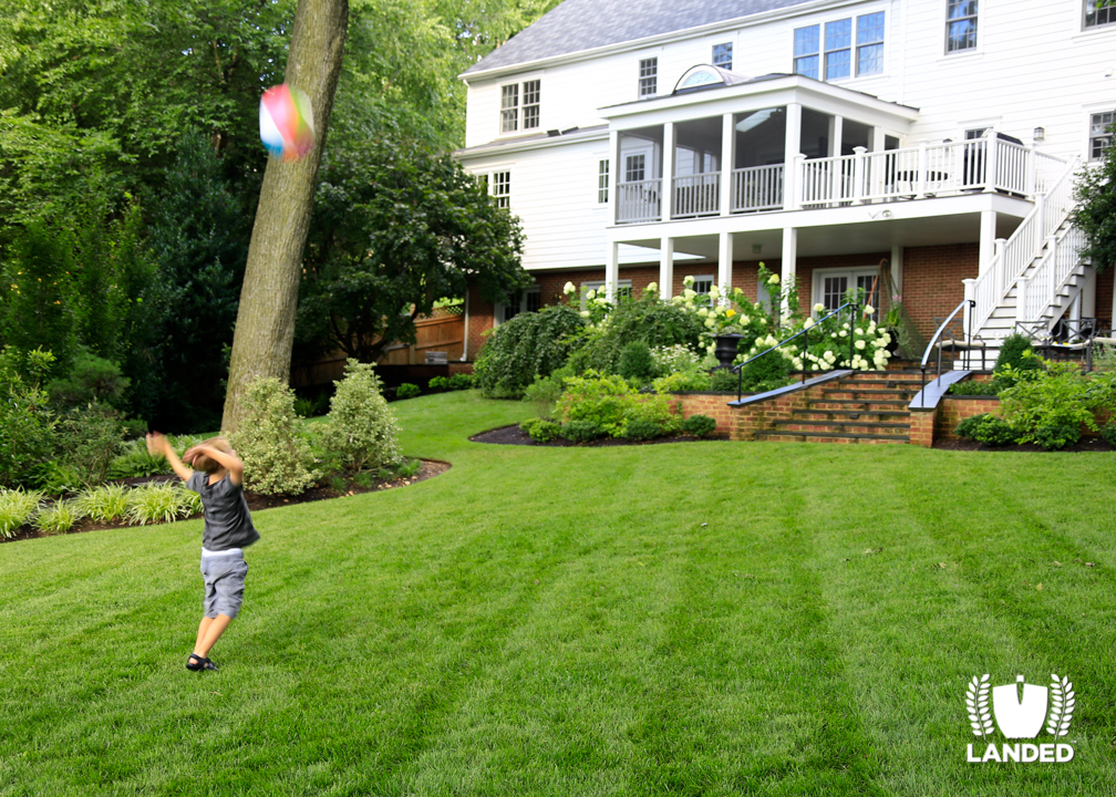 Redesigned Backyard Grading and Custom Landscaping | Landed – Custom Landscape Designers