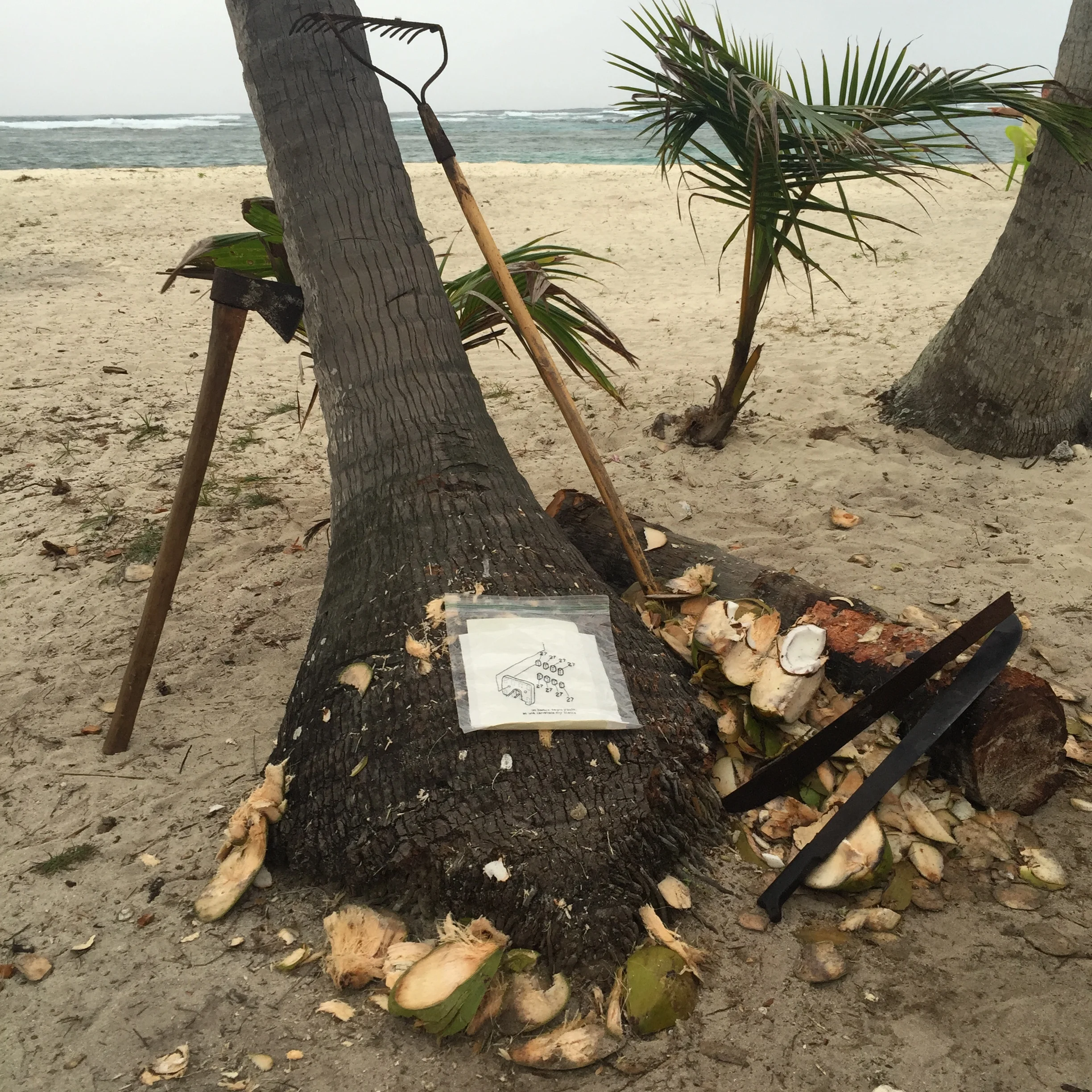 Isla Del Oro, Kuna Yala (San Blas Islands, Panama). ISFB3/2015 site 9.