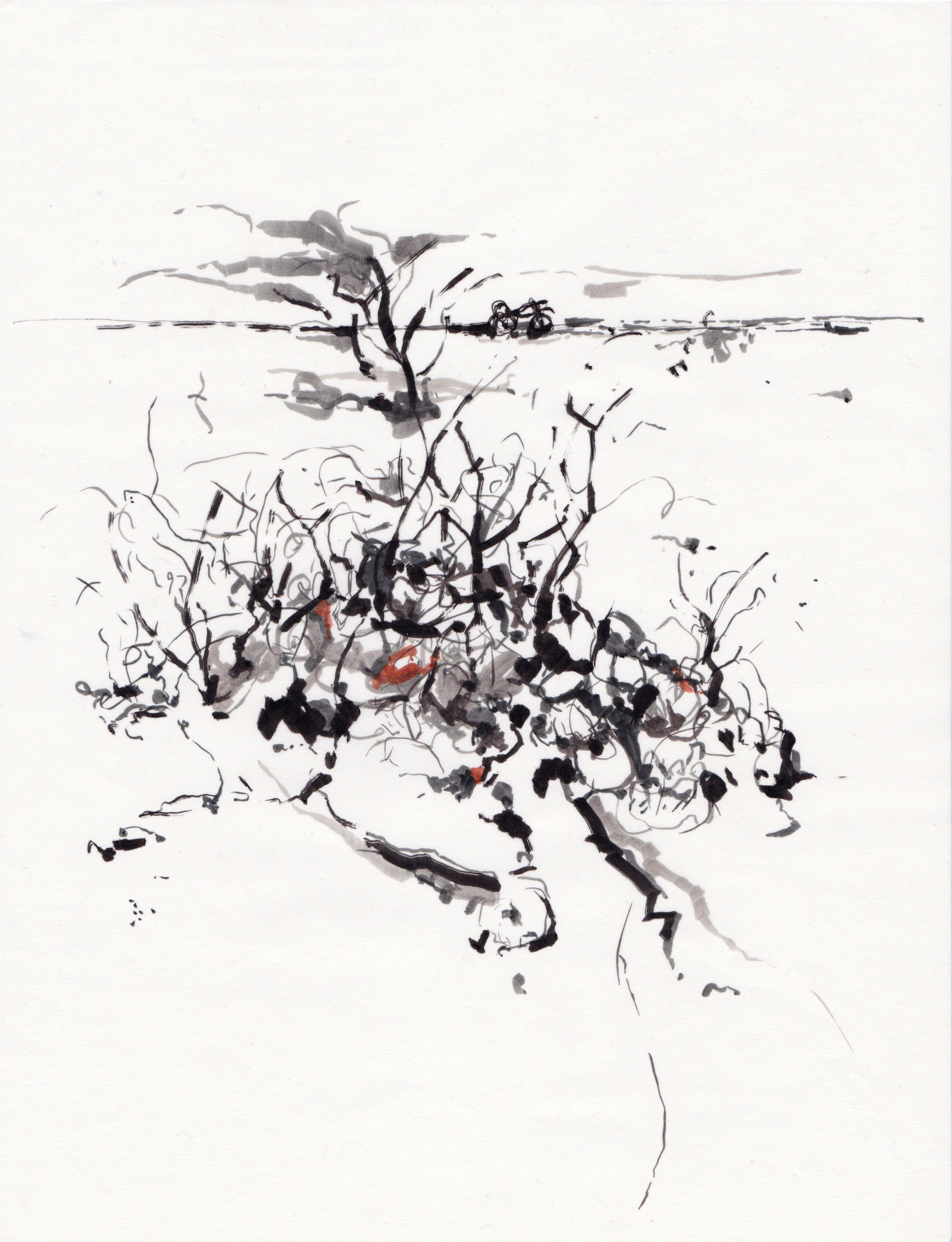 Trash [Trujillo, Peru]