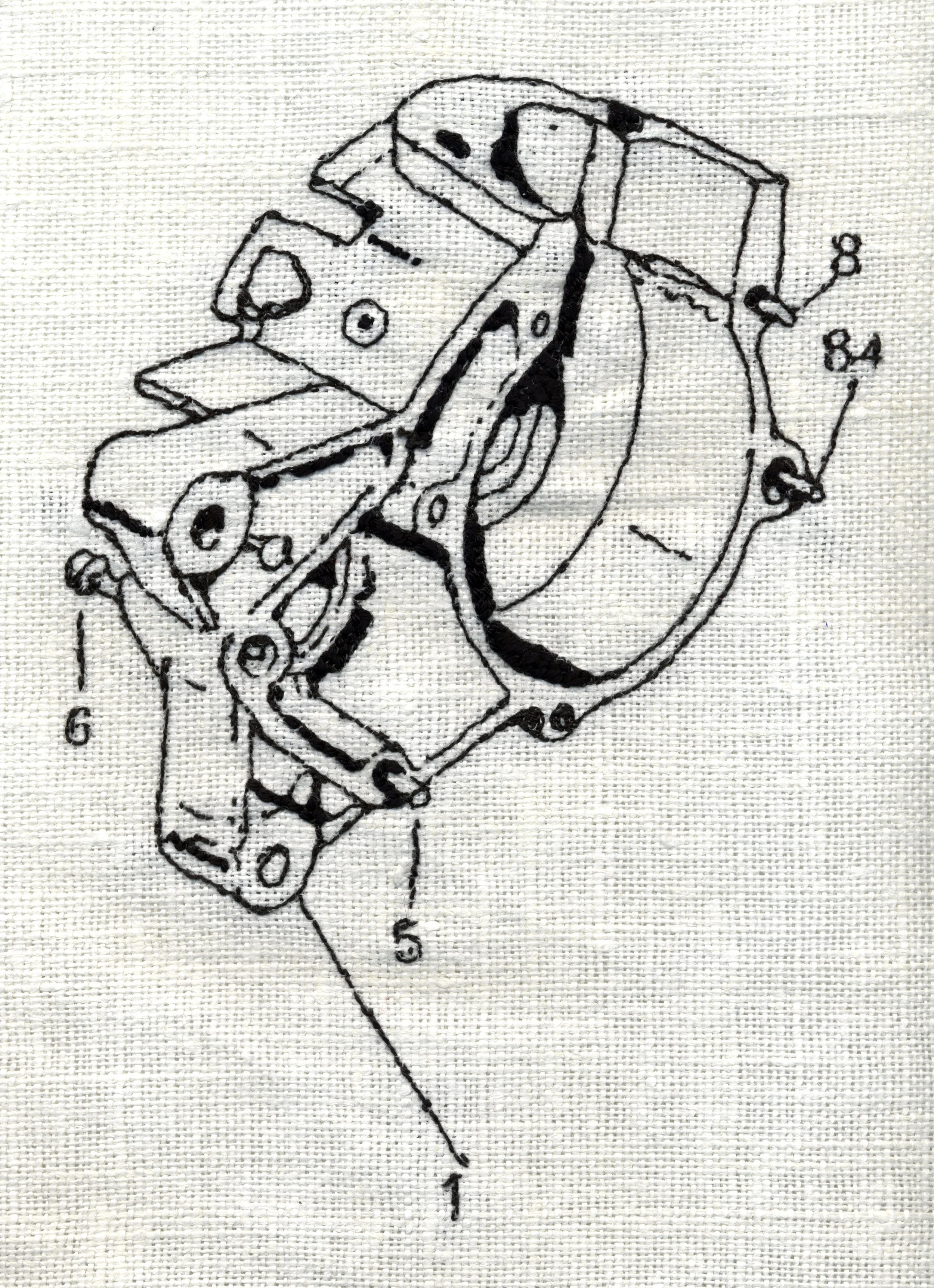 primary case 1
