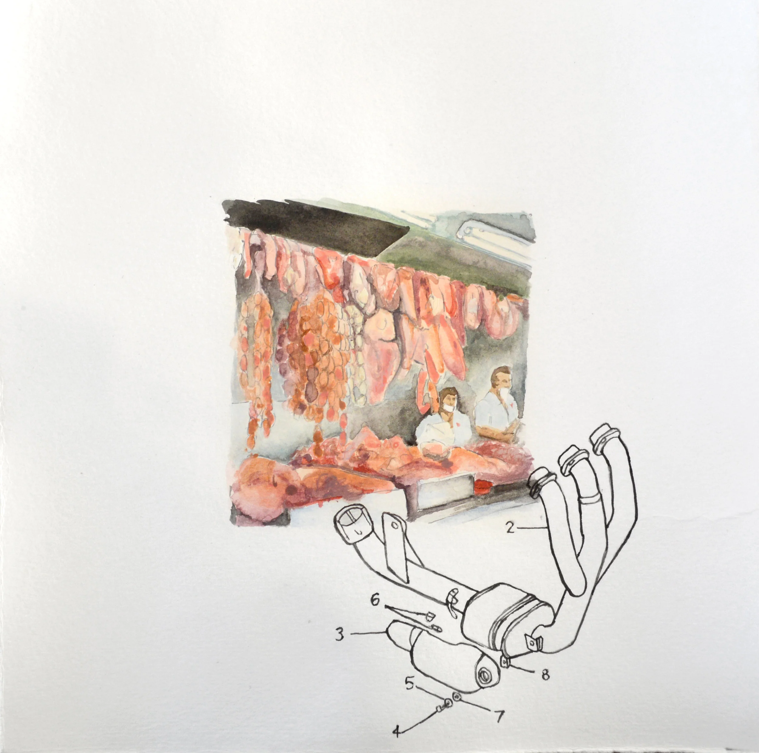 Meat [Oaxaca City, Oaxaca, Mexico]