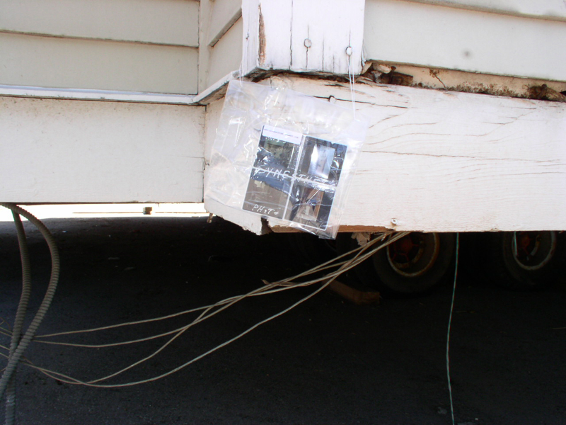 Cracks in the Pavement: Gifts in the Urban Landscape
