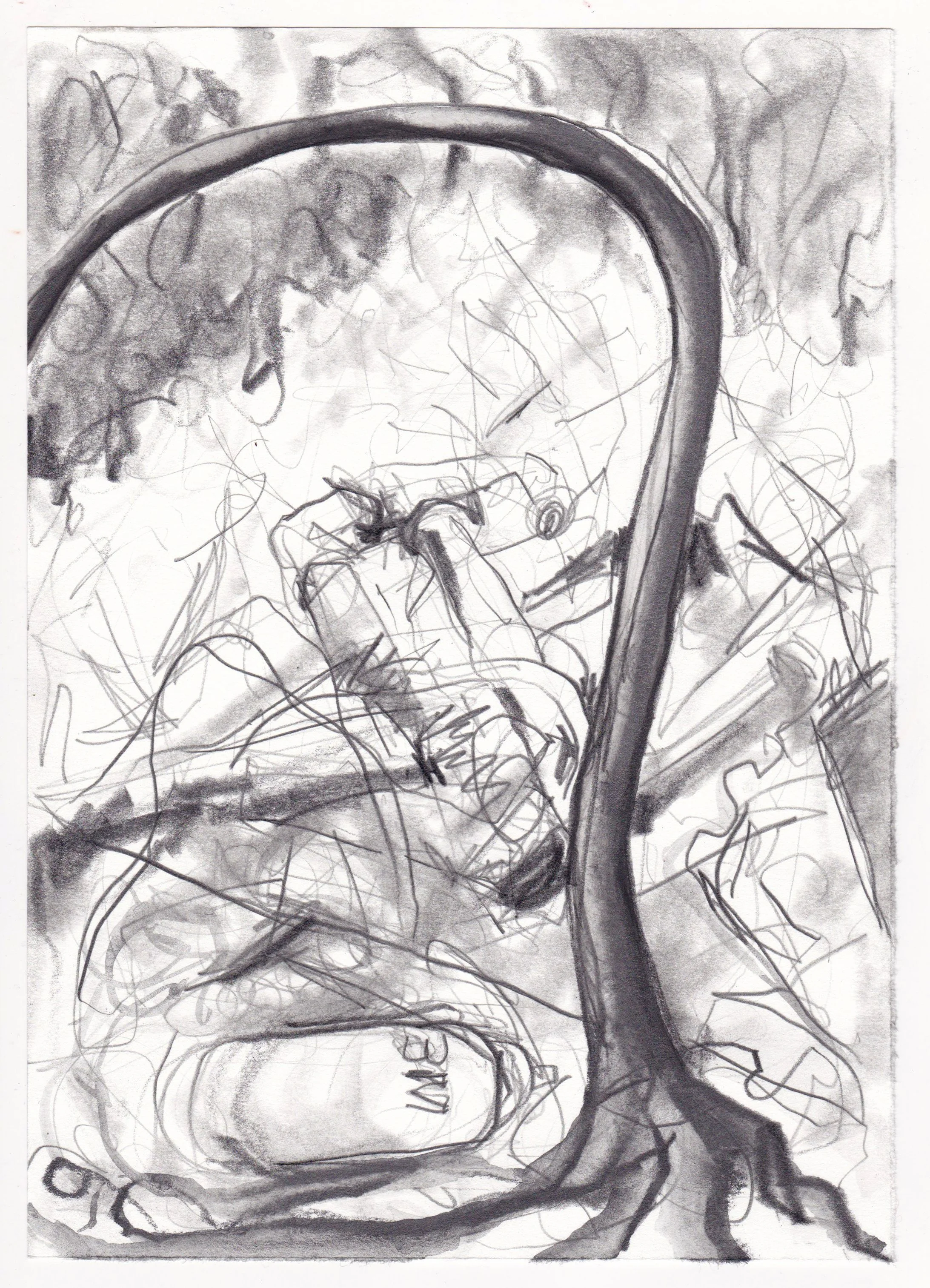 Tree with rubble.