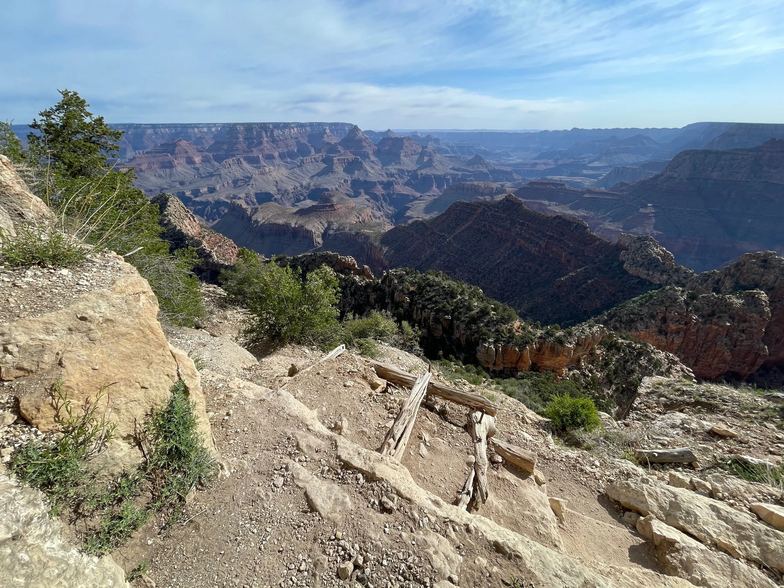 IMG_1617.jpeg